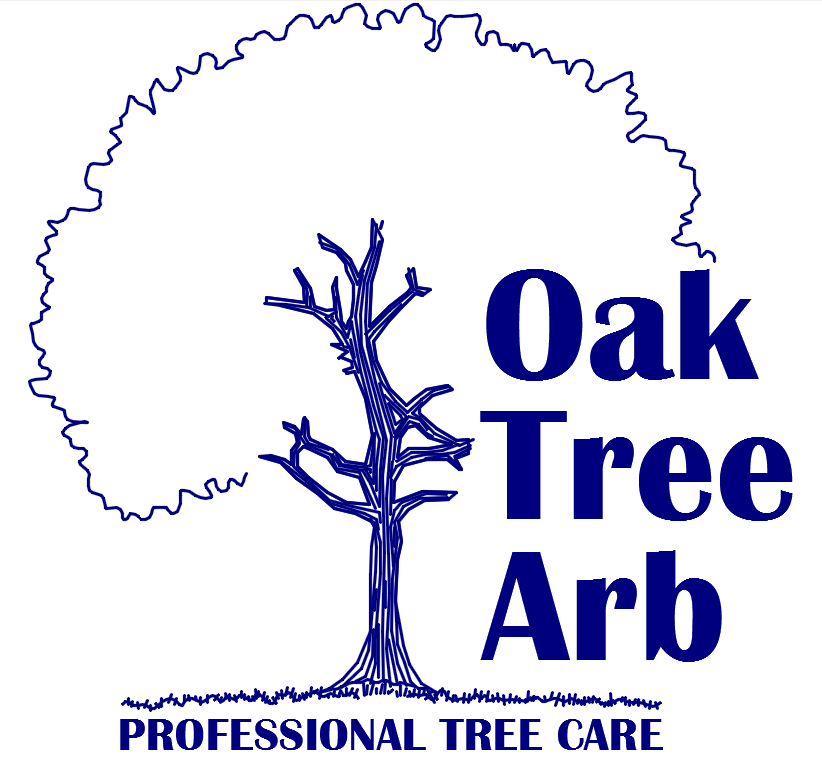Oaktreearb